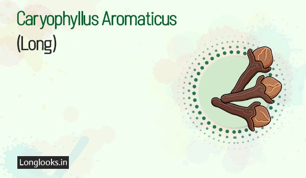 Caryophyllus Aromaticus