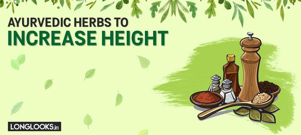 Best Herbs to Increase Height