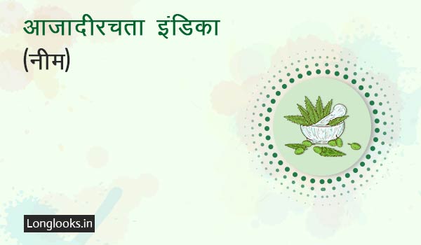 आज़ादीरचता इंडिका नीम