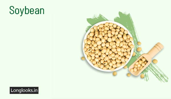 Soybean