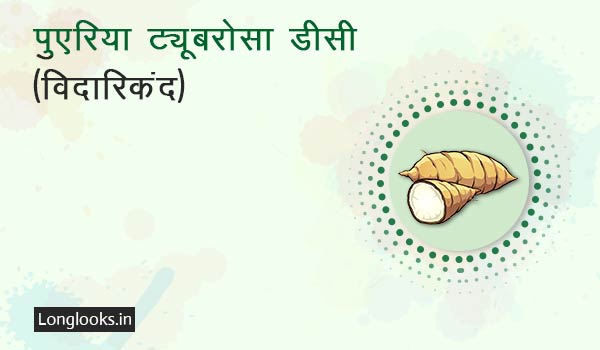 पुएरिया ट्यूबरोसा डीसी विदारिकंद